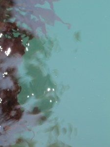 baby rudy june 12 034