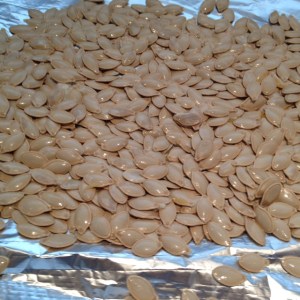 pumpkin seeds