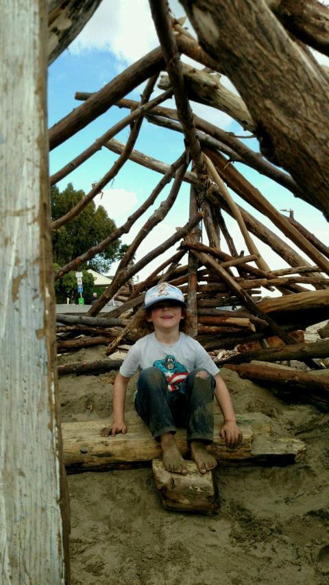 driftwood dome